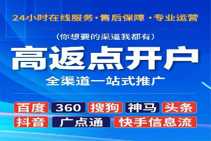 SEO与SEM优化案例：打造行业领先品牌